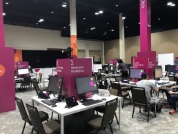 Environmental graphics - Summit 2020