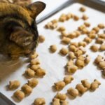 Cat eating Fishy Feline Cat Treats Recipe