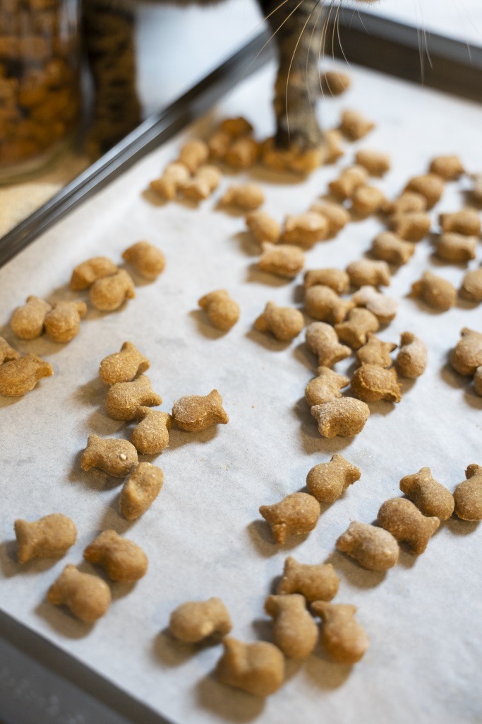 Fishy Feline Cat Treats Recipe in a sheet pan