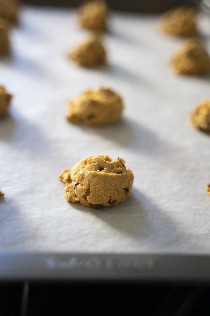 Tray of Peanut Butter Human Treats recipe