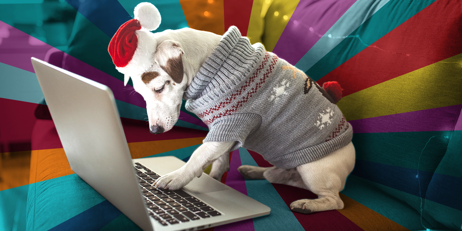 2020 DSC holiday gift guide