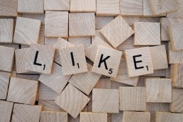 Essentials of Social Media Management