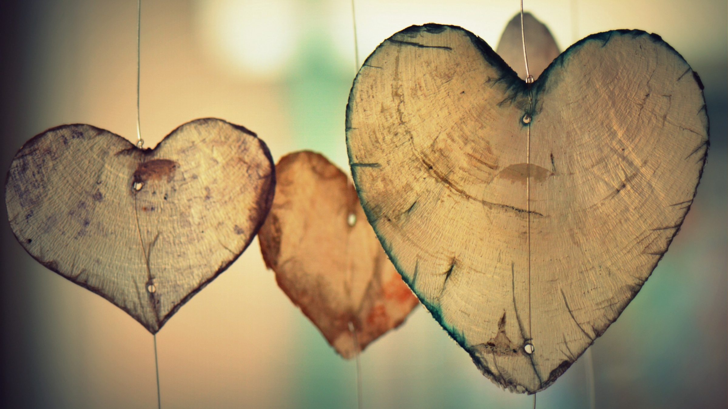 Lessons we learned from Mom