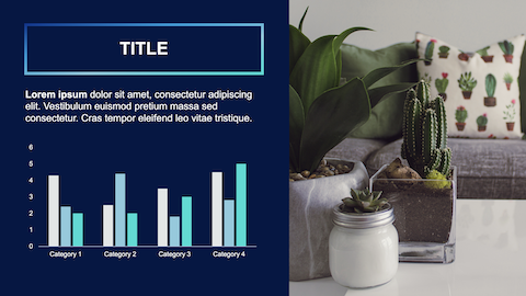 bar chart, cactus, living room
