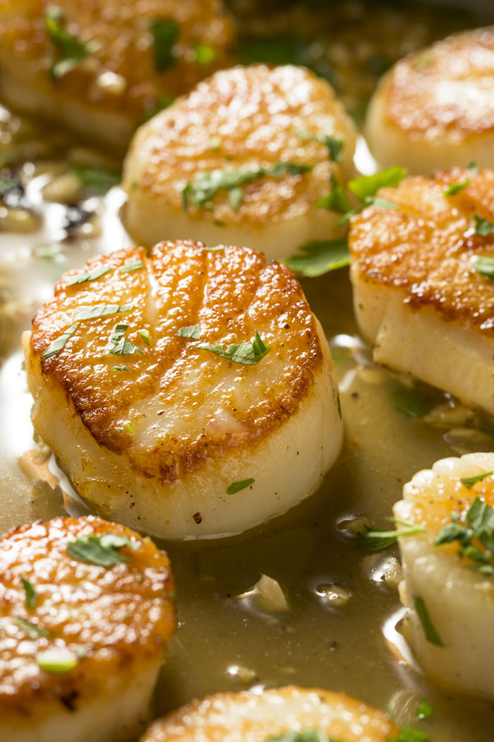 Creamy Garlic Scallops