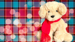 stuffed animal dog wearing a red scarf, against a tartan background