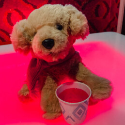 Jingles Dog with a Cocktail