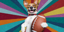 dog with football