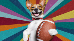 dog with football