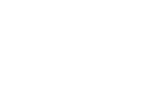 Investments And Wealth Institute