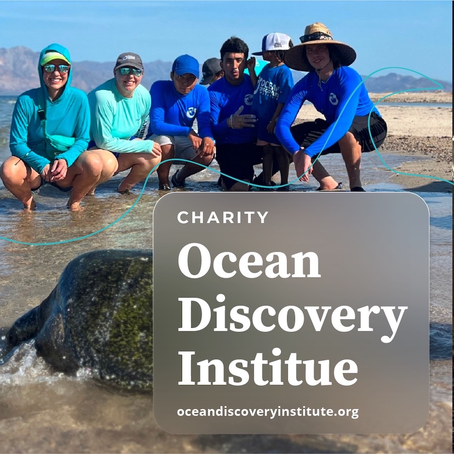 Charity: Ocean Discovery Institute
