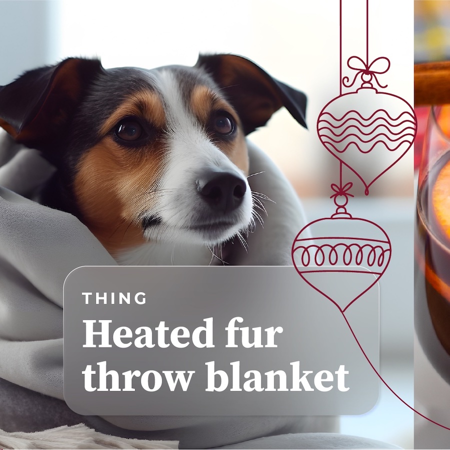 Thing: Heated Fur Blanket
