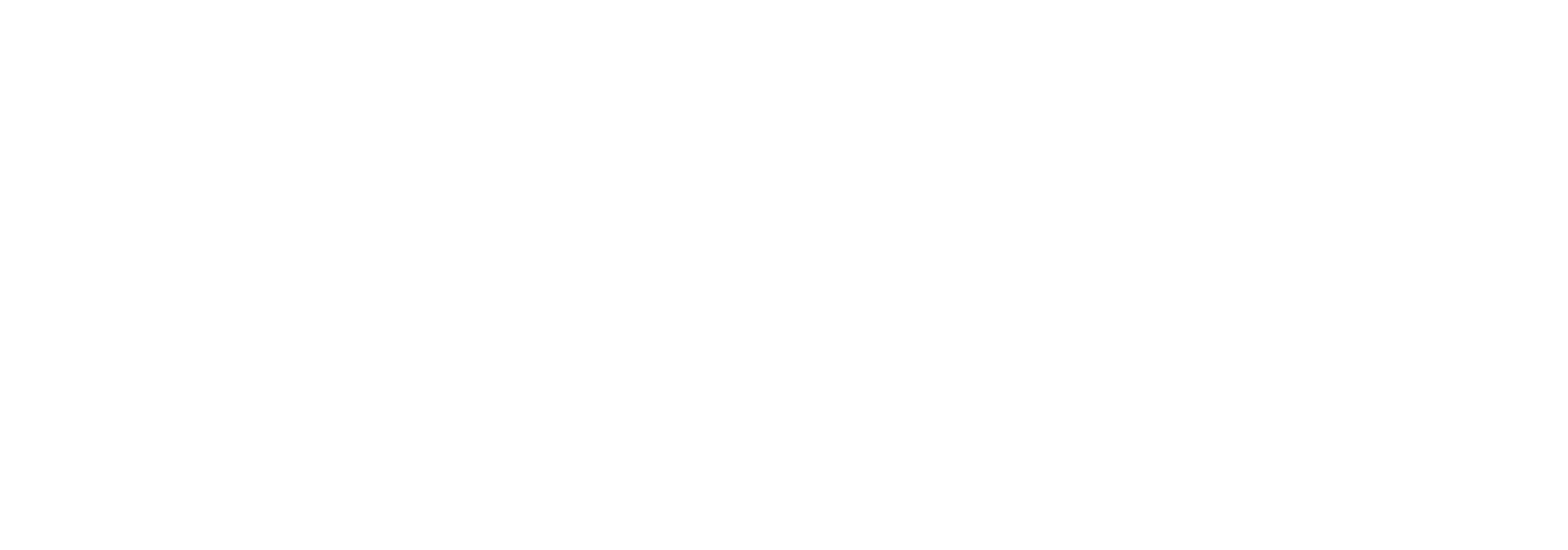NIP Group Logo White NIP Group