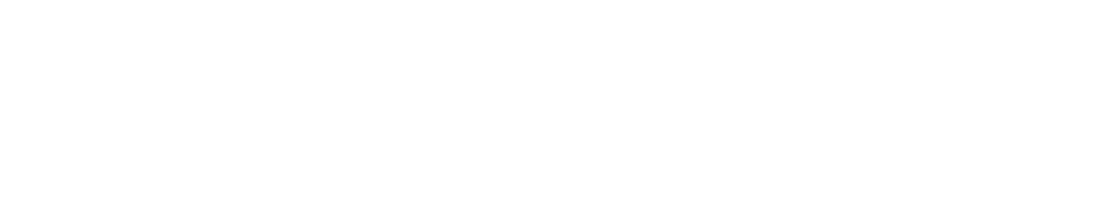 noodoe-white-logo-1200