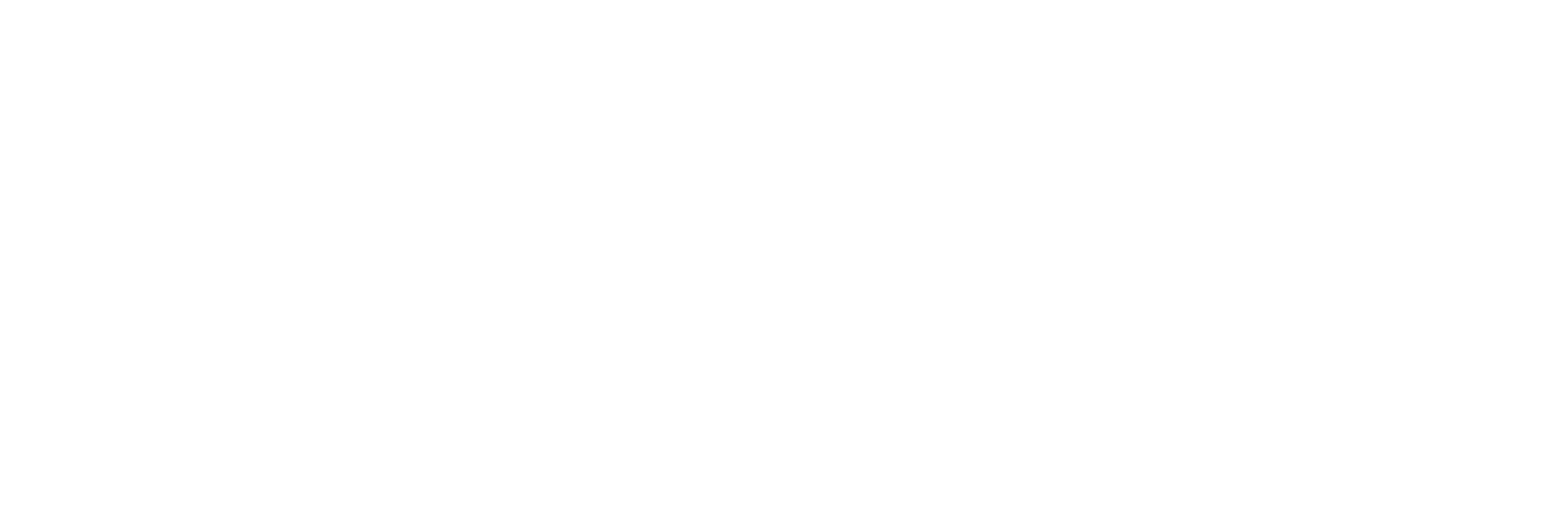 Denexus-MainLogo-white DeNexus