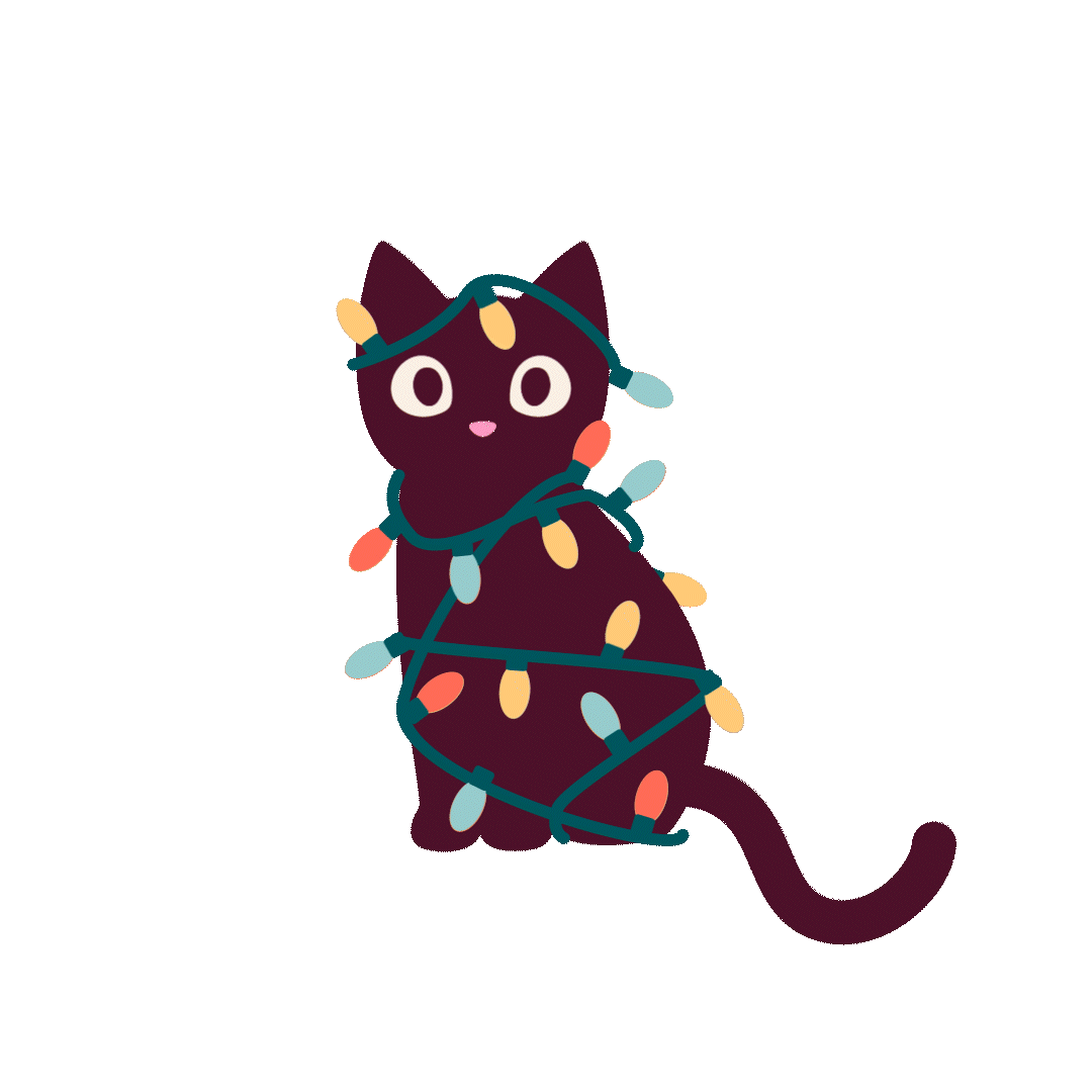 Black cat wrapped in holiday lights