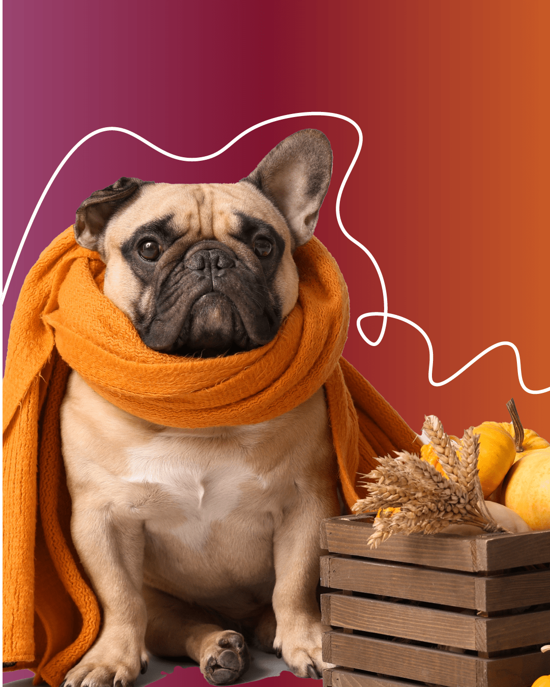 What is the DSC Team Thankful For?