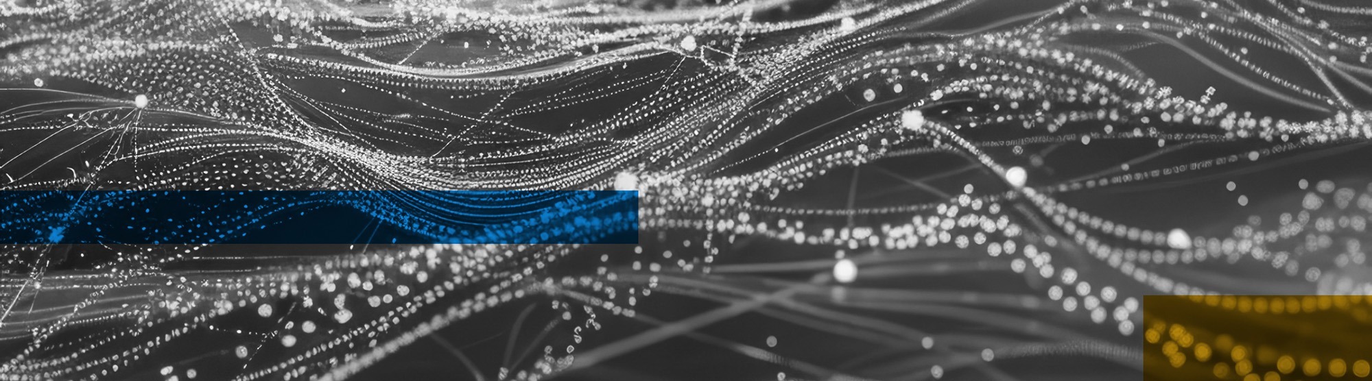 Cyber Security Brand Refresh